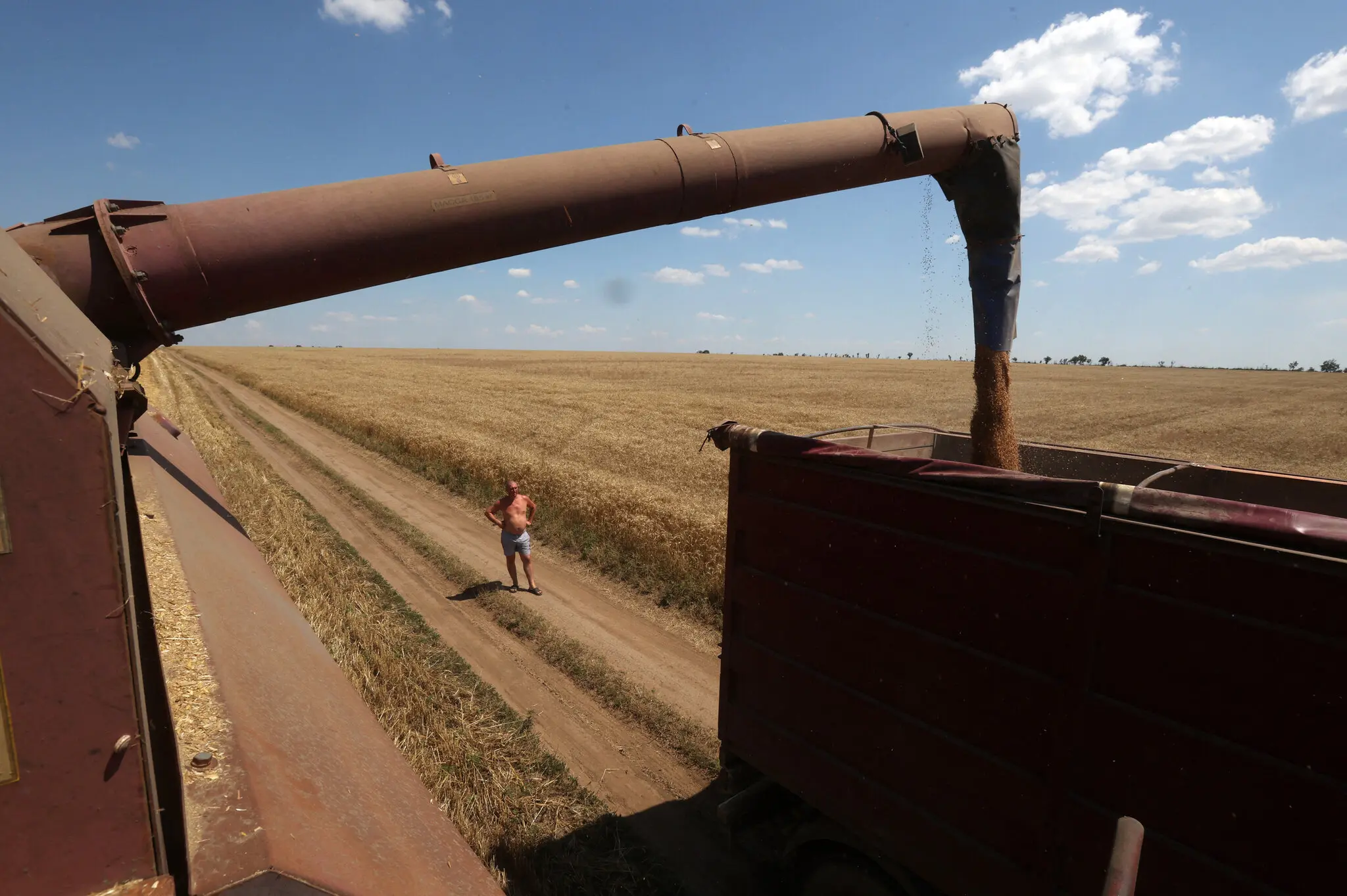 Суспільство